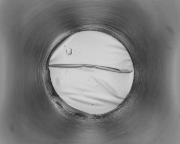 X0000113001050200909241257