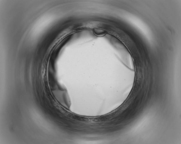 X0000113001052200909241257