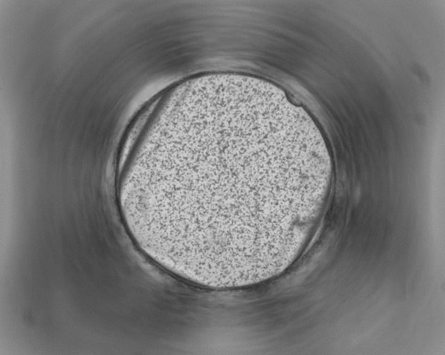 X0000113001053200909241257