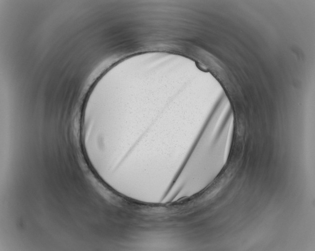 X0000113001054200909241257