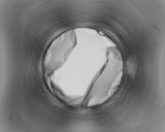 X0000113001055200909241257