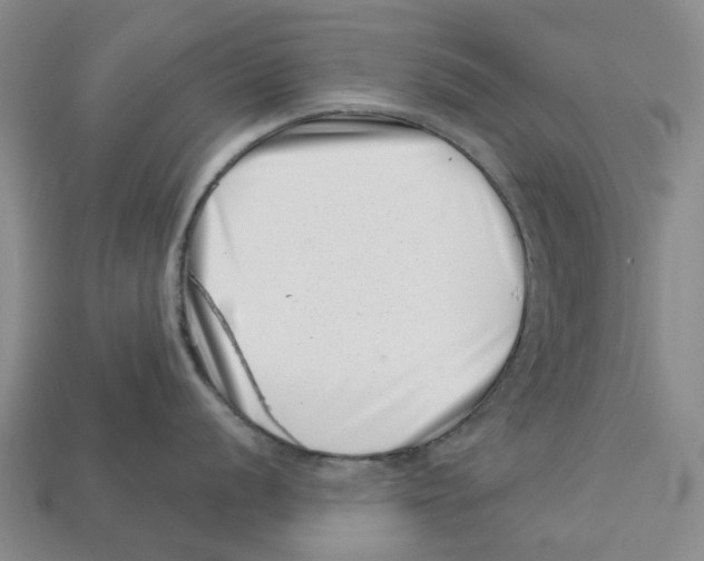 X0000113001056200909241257