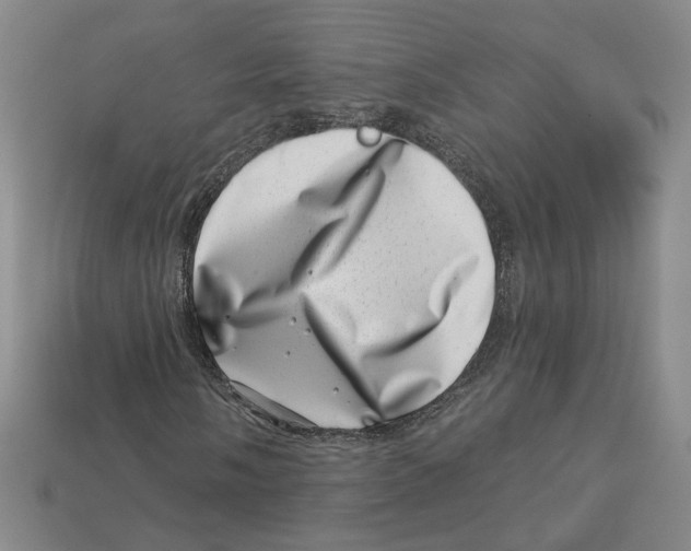 X0000113001058200909241257