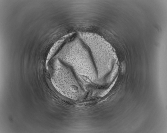 X0000113001059200909241257