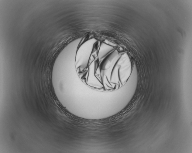 X0000113001060200909241257