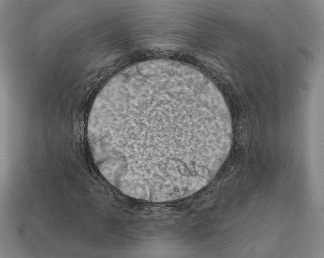 X0000113001061200909241257