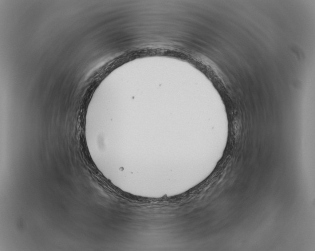 X0000113001064200909241257