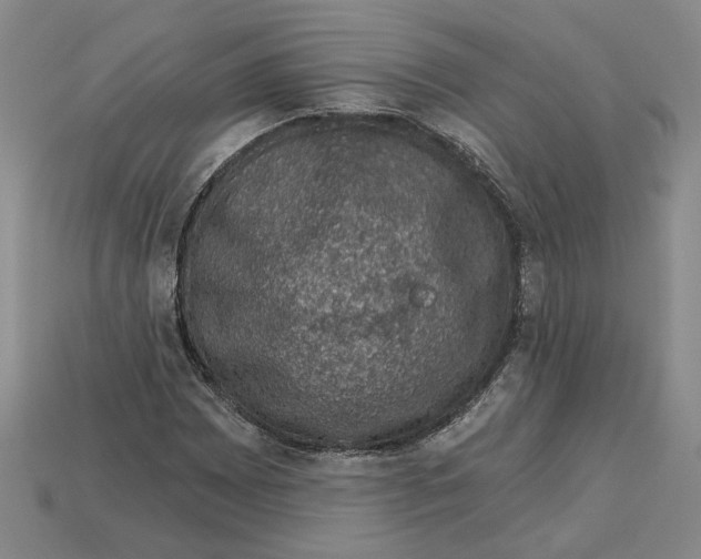 X0000113001065200909241257