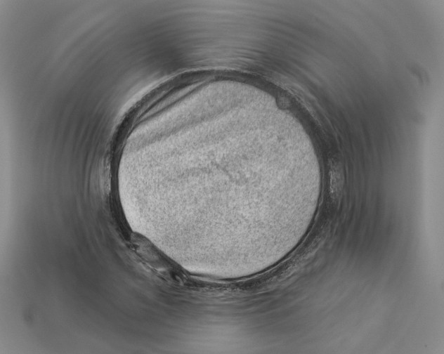 X0000113001069200909241256