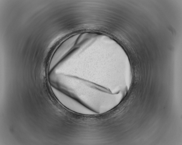 X0000113001070200909241256