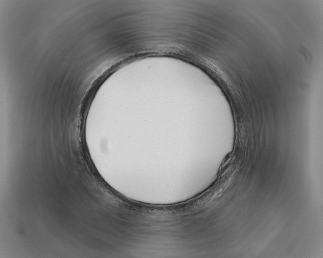 X0000113001071200909241256