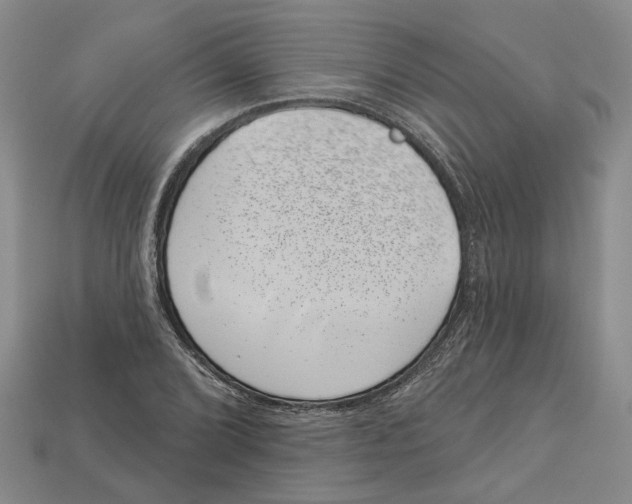 X0000113001072200909241256