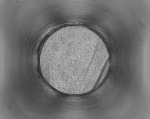 X0000113001075200909241256