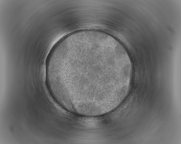 X0000113001079200909241256