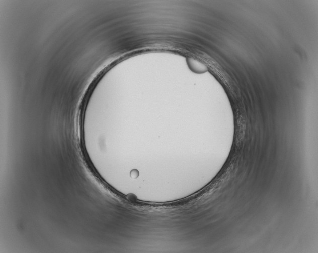 X0000113001084200909241256