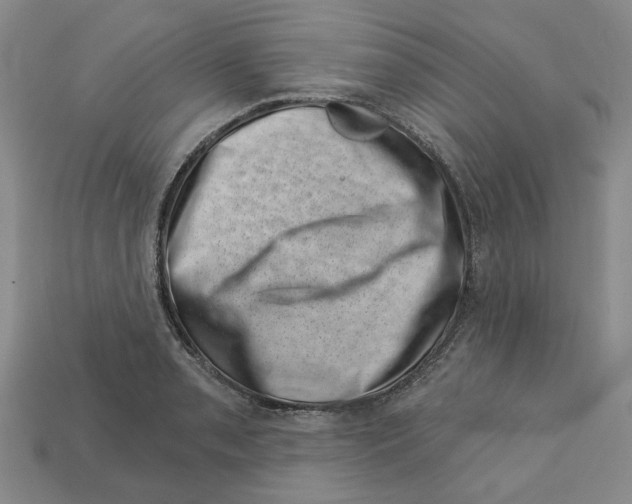 X0000113001085200909241256