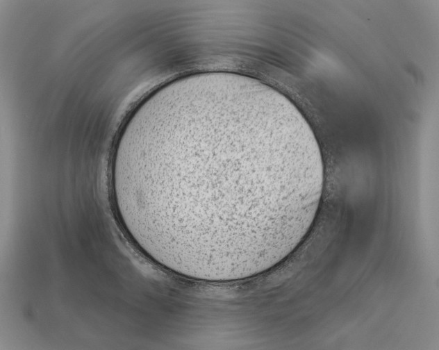 X0000113001086200909241256