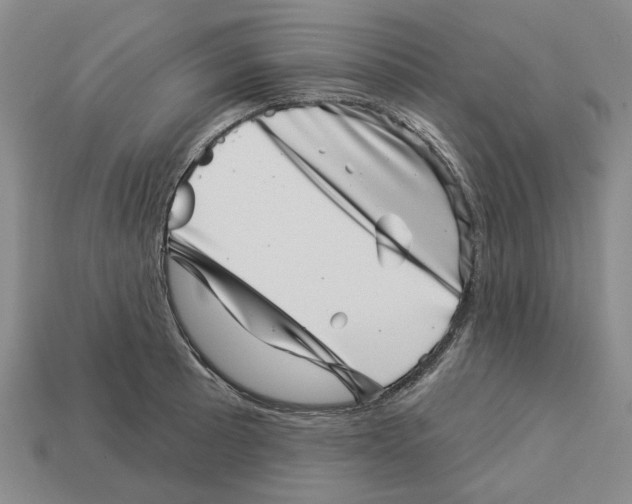 X0000113001089200909241256