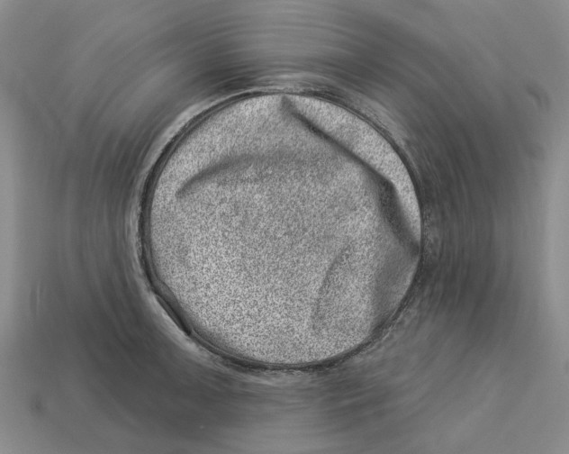 X0000113001091200909241256