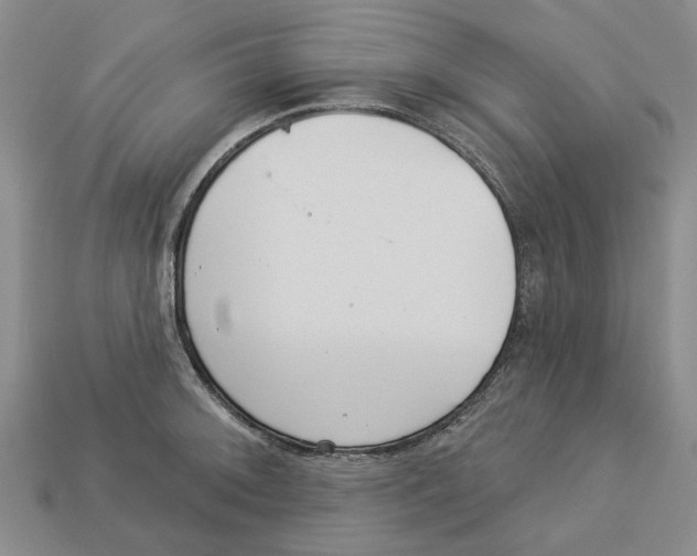 X0000113001092200909241256