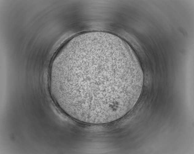 X0000113001094200909241256