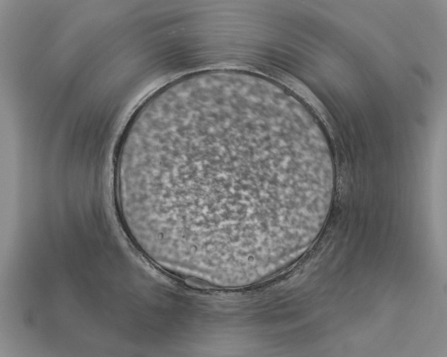 X0000113001096200909241256