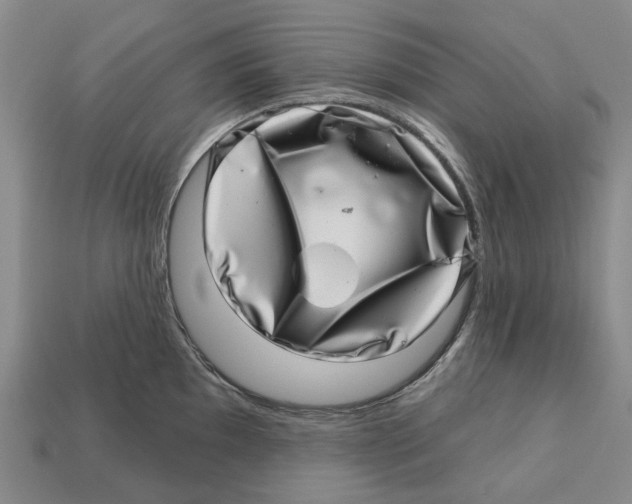 X0000113001097200909241256