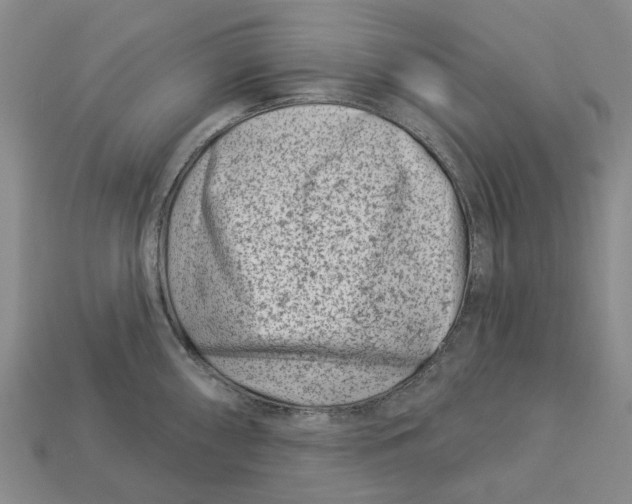 X0000113001098200909241256