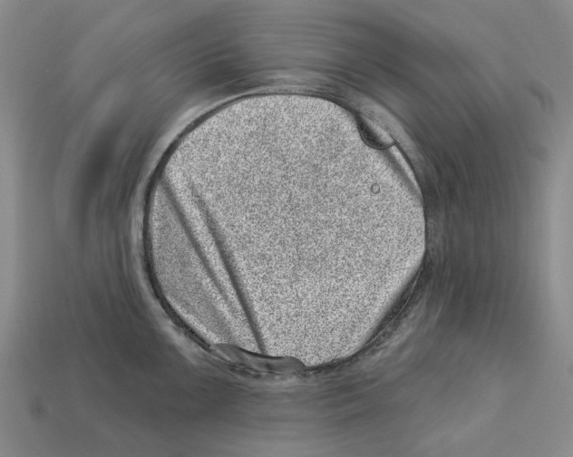 X0000113001099200909241256