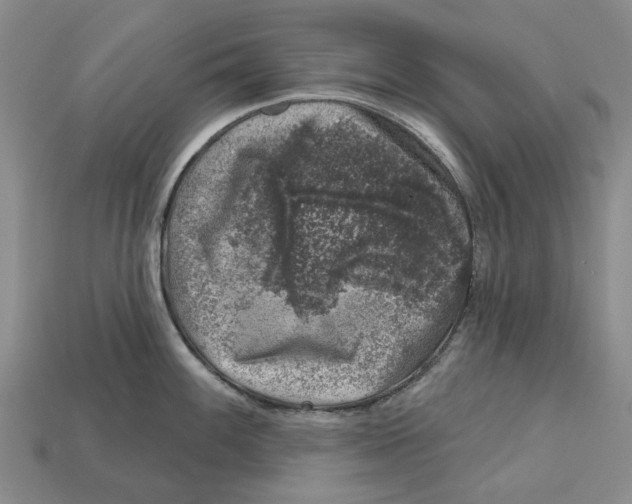 X0000113001100200909241256