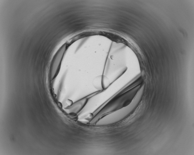 X0000113001101200909241256