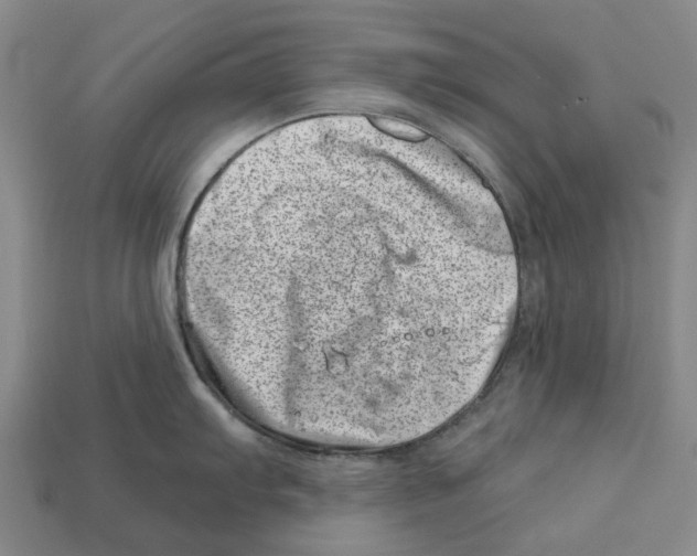 X0000113001103200909241256