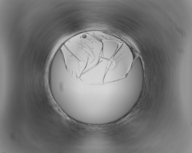 X0000113001104200909241256