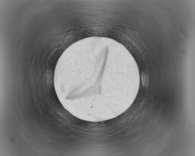 X0000113001107200909241255