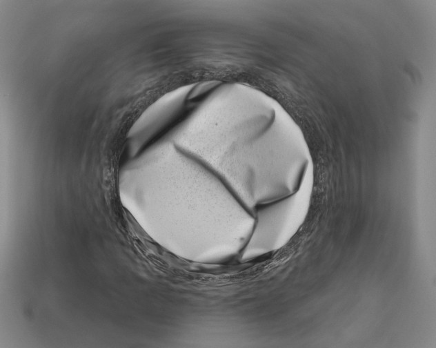 X0000113001109200909241255