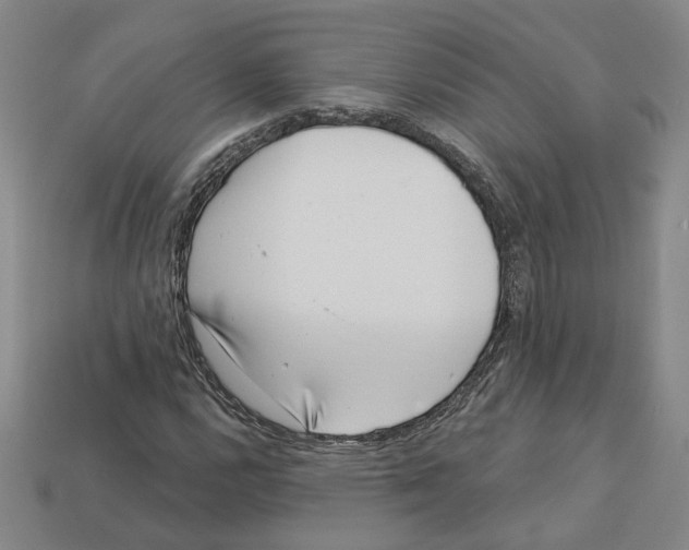 X0000113001112200909241255