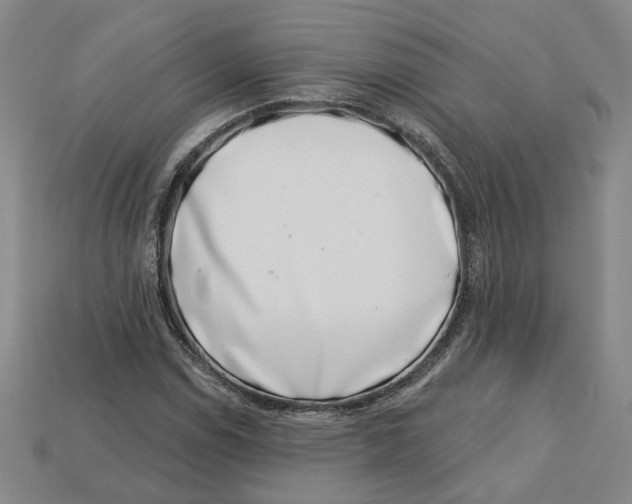 X0000113001114200909241255