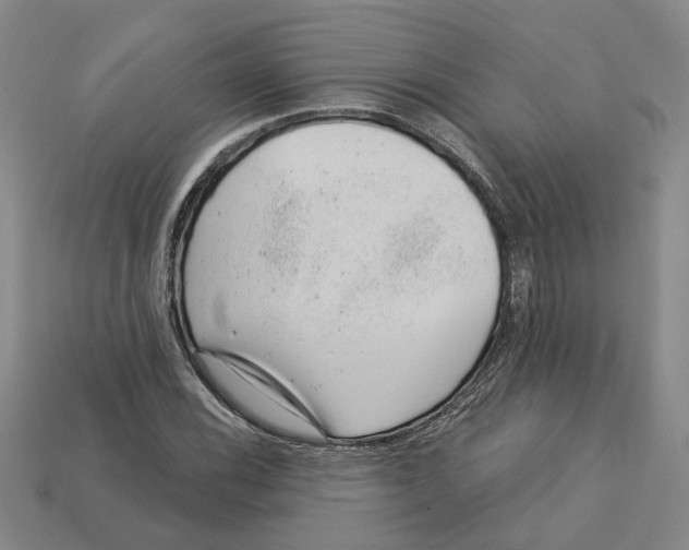 X0000113001116200909241255