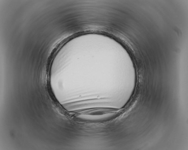 X0000113001117200909241255