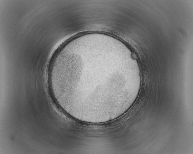 X0000113001120200909241255