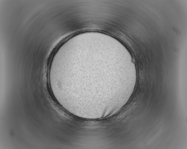 X0000113001124200909241255