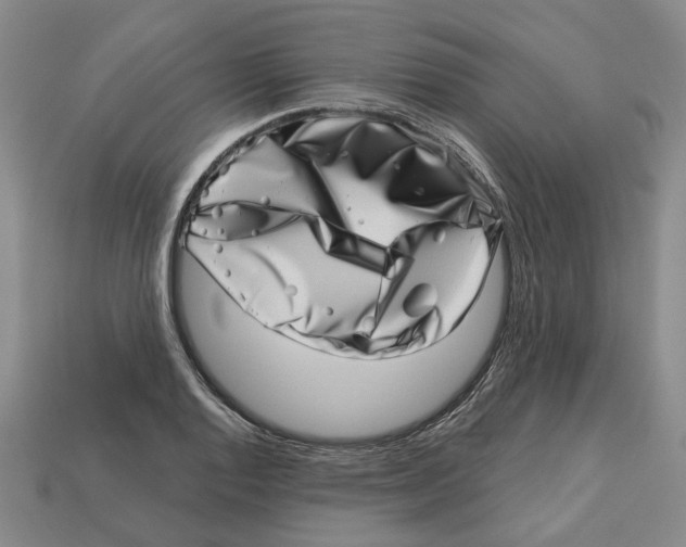 X0000113001128200909241256