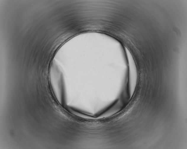 X0000113001129200909241256