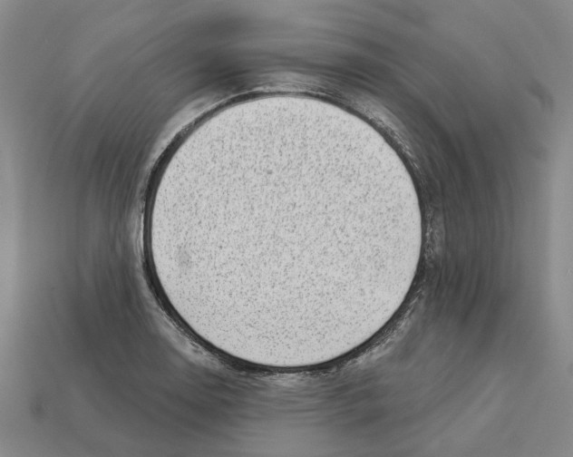 X0000113001130200909241256