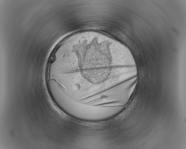 X0000113001132200909241256