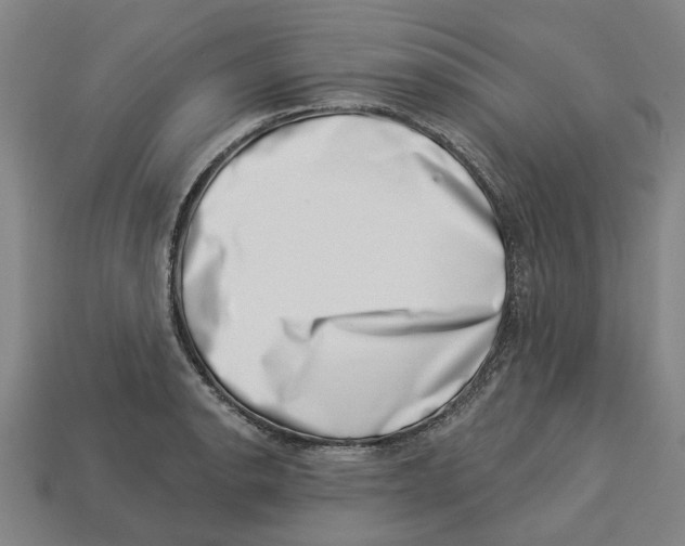 X0000113001134200909241256