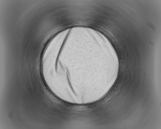 X0000113001135200909241256