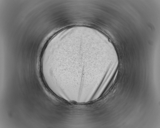 X0000113001136200909241256