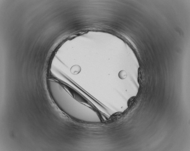 X0000113001138200909241256