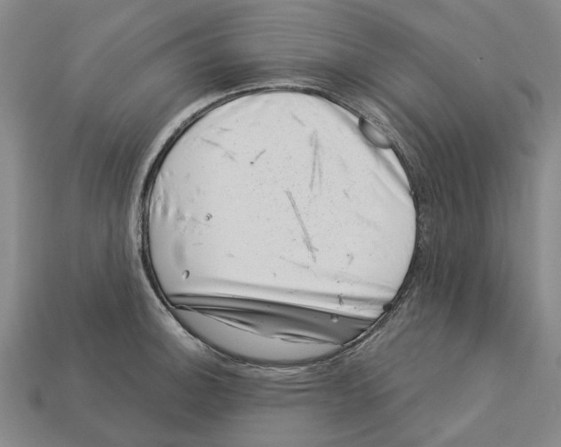 X0000113001140200909241256